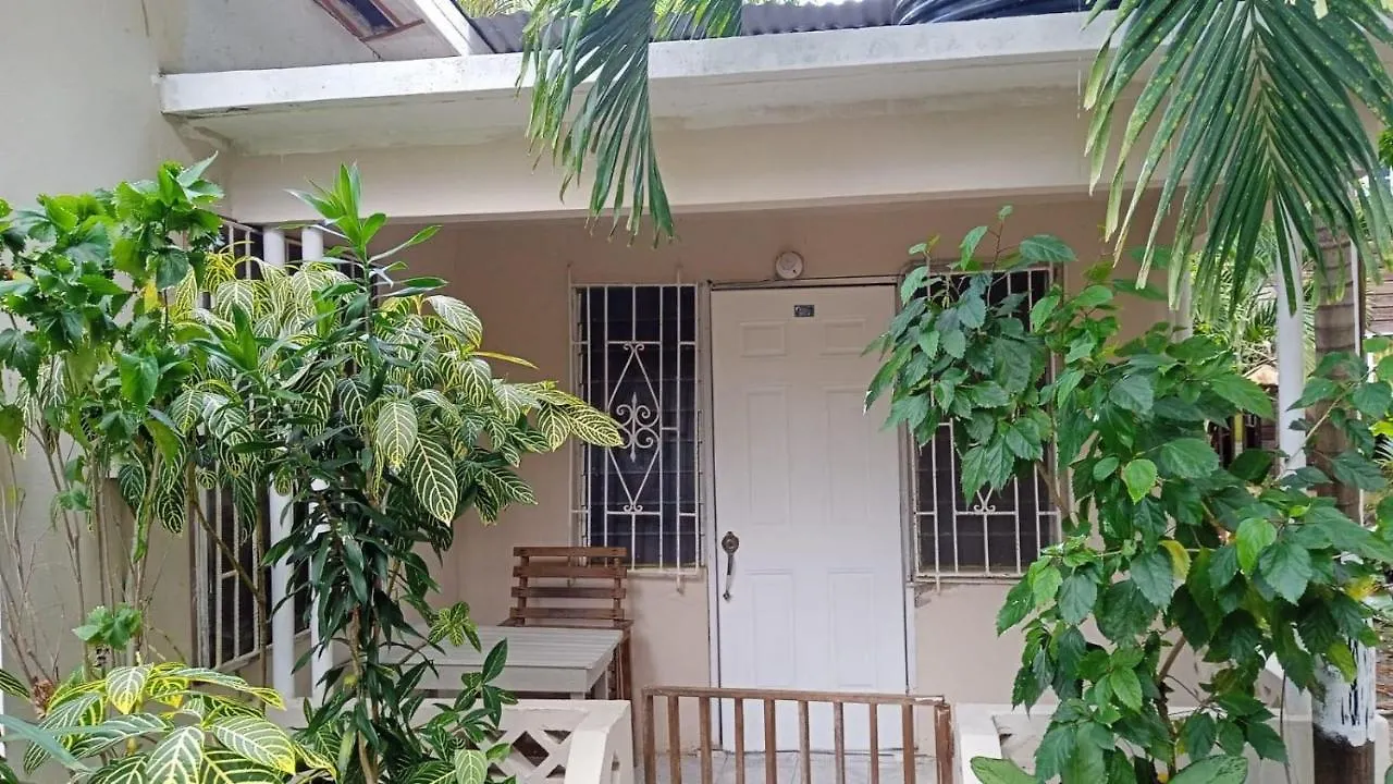 T&T - Tatty And Tony Guesthouse Negril Appartement