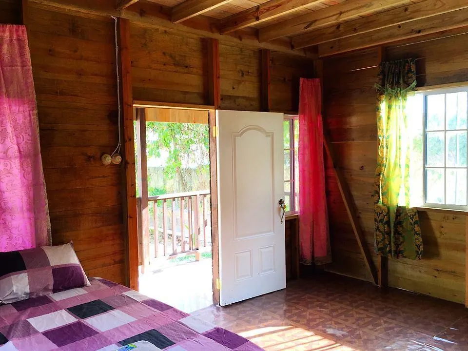 Appartement T&T - Tatty And Tony Guesthouse Negril